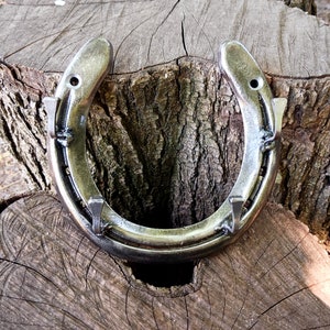 May include: A silver horseshoe-shaped metal hook with four nail-like hooks on each side. The hook is mounted on a wooden surface.
