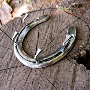 May include: A silver horseshoe with four hooks attached to the top. The horseshoe is mounted on a wooden surface.