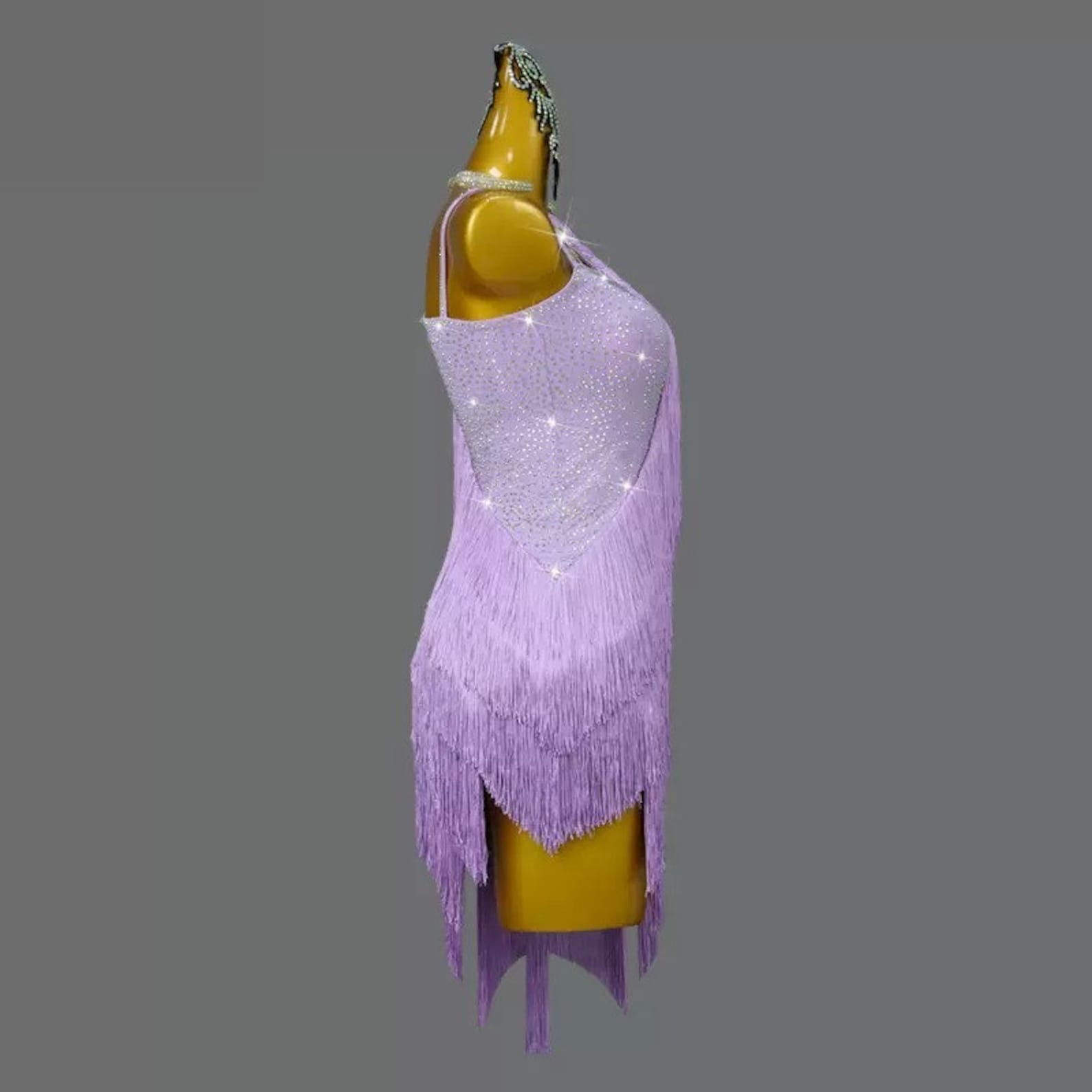 Latin Dance Dresses Latin Dance Costume Latin Dance Fringe latin Dance