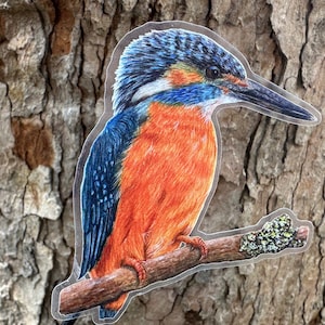 Kingfisher Watercolor Sticker – Colorful Bird Vinyl Decal – Nature Art for Laptop, Journal & Water Bottle