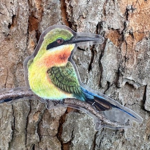 May include: A colorful bird with green, blue, yellow, and orange feathers perched on a branch. The bird has a long, thin beak and is facing to the right. The background is a blurry image of tree bark.