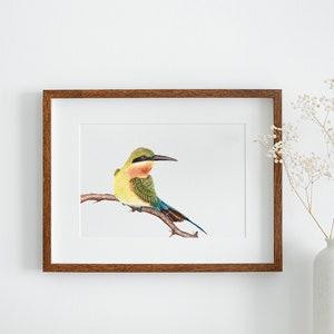 Blue-Tailed Bee-Eater Watercolor Print, 5&quot;x7&quot; or 8&quot;x10&quot;