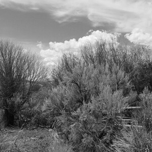 Landscape Photography Print: Digital Download - Customizable Sizes