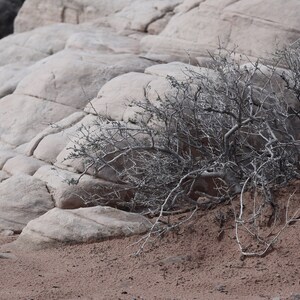 Desert Rock Landscape Photo (Digital Download)