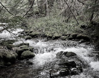 Forest Stream Landscape Photo Art Print (Digital Download)