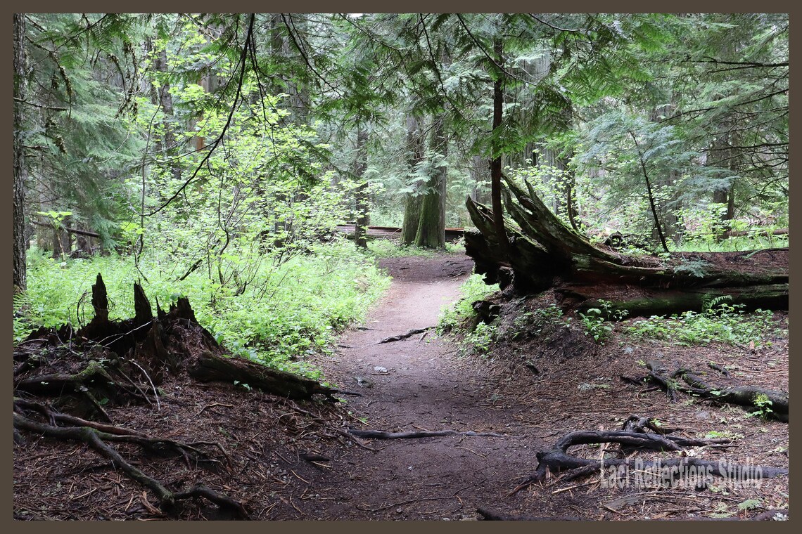 Digital Download Digital Print Digital Photo Print Etsy