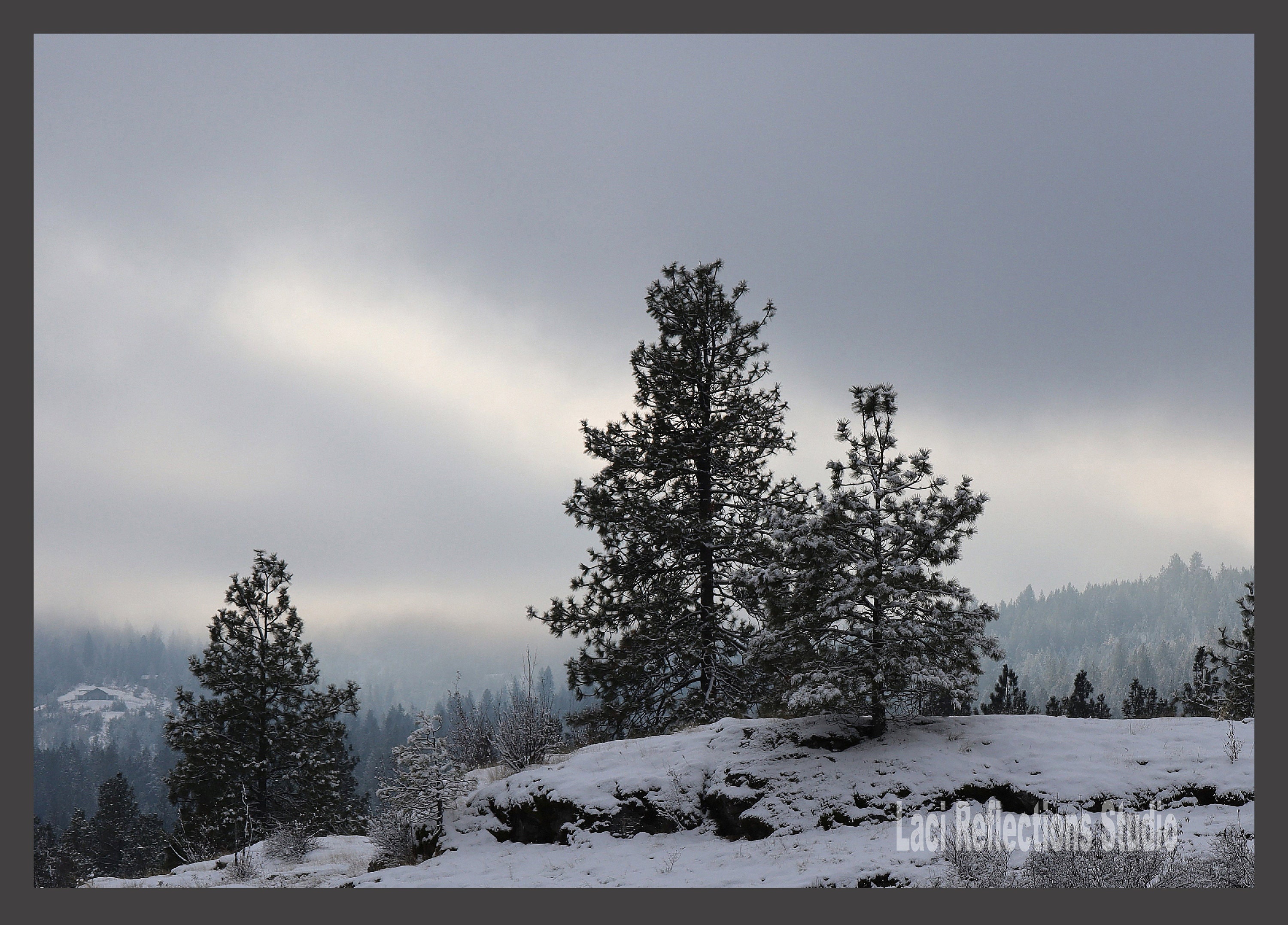 Digital Download, Digital Print, Digital Photo, Print Download, Photo ...