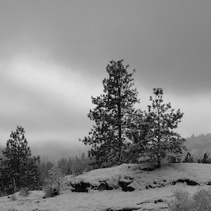Winter Fog Morning Photo: Landscape Photography (Digital Download)