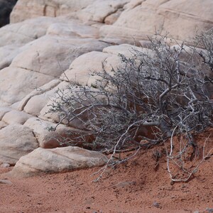 Desert Rock Landscape Photo Print (Digital Download)