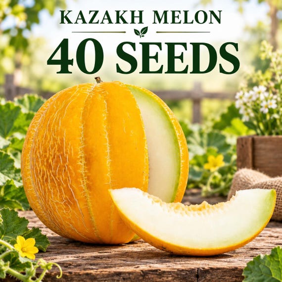 40 Heirloom Kazakh Melon Seeds – Very Sweet Slightly Crunchy Melon