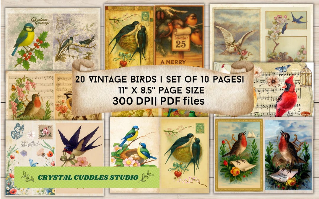 Vintage Bird Junk Journal Pages: Ephemera Printable Kit (PDF Download ...