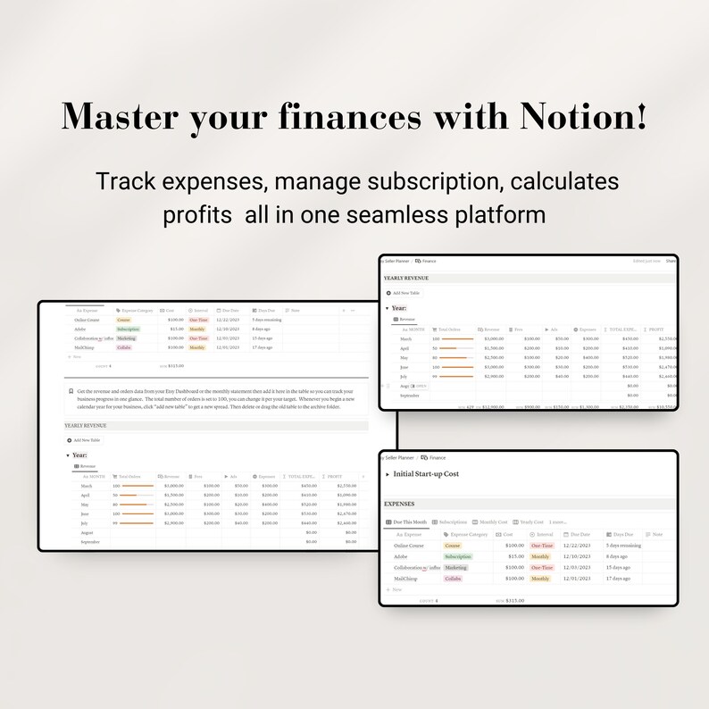 Etsy Seller Planner Notion Template: PLR Resell Rights (Digital) image 7