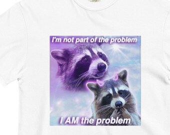 I Am The Problem Shirt, Funny Meme Shirt, Raccoon Meme Shirt, Y2K Shirt, Funny Y2K Shirt, Funny Shirt Gift, Humor, Y2K Aesthetic, Y2K Tee