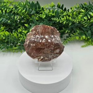 Petrified Wood Slab, Petrified Wood, 385 g