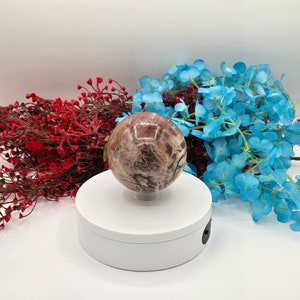 Petrified Wood Sphere, Petrified Wood, 1084 g