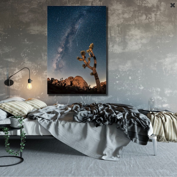 CANVAS Joshua Tree Milky Way Meteor Shower