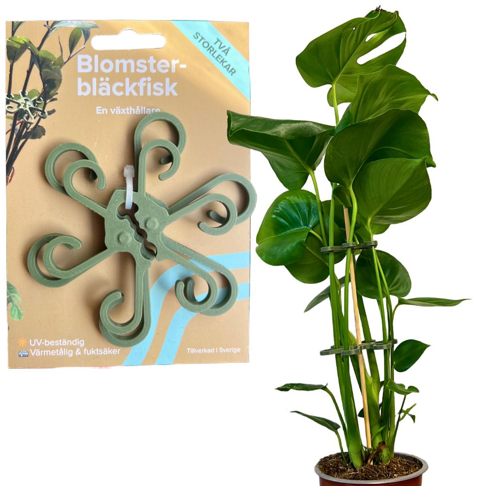 Monstera halter - Etsy.de