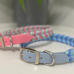 Limited Edition Chevron Pet Collars image 1