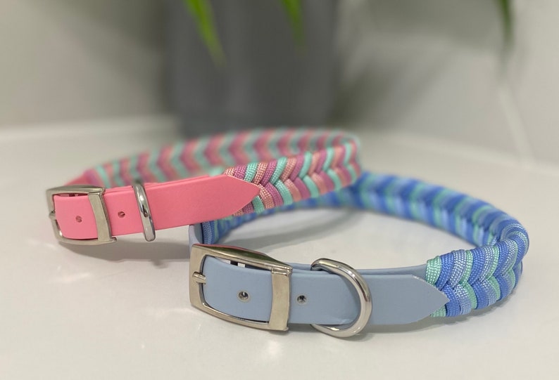 Limited Edition Chevron Pet Collars image 1