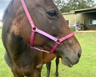 Custom Biothane Horse Halters Handmade