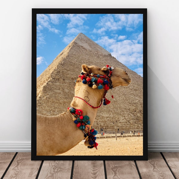 Camel Photo Travel Egypt, Artful Travel Poster, Gift for Wanderers, Wanderlust Art Love, Global Adventures, Inspiring Travel Photography
