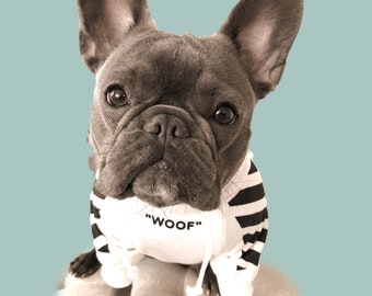 Chemise "woof" grand chien