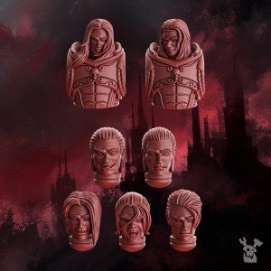 May include: A collection of red-brown resin busts, featuring detailed depictions of male figures with long hair and various facial expressions. Some busts are full-bodied, while others are head and shoulder portraits. The busts have a gothic or fantasy theme.