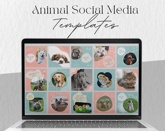 Animal Social Media Templates for Instagram: Pet Shop, Shelter Vet Clinic (Canva Template)