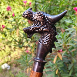 Pode incluir: Bengala de madeira castanha com uma pega de cabeça de dragão em bronze. A cabeça do dragão apresenta detalhes intrincados, incluindo escamas e chifres. O eixo de madeira tem um acabamento polido. O fundo é verde desfocado.
