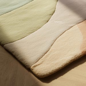 May include: A close-up of a colorful rug with a textured surface. The rug features a design with curved sections in shades of green, beige, and peach. The text "The Rugs Shine" is visible on the rug.