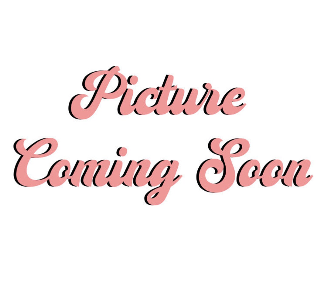 CNMI Seal Seashell Necklace CNMI Jewelry Pacific Pride Etsy