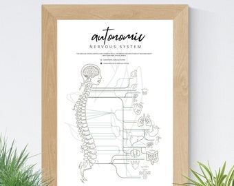 Autonomic Nervous System- organ Poster pdf download