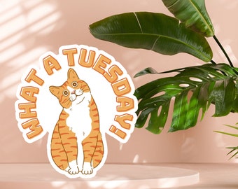 Naklejka What A Tuesday, Naklejka Vet Med, Naklejka Vet Tech, Naklejka Animal, Naklejka Pet, Naklejka Cat, Naklejka Cat Mom, Naklejka Cat Dad