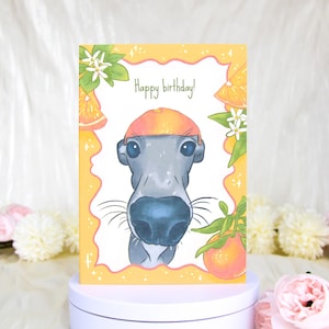 Biglietto di auguri di compleanno con cane e cappello arancione, biglietto di auguri divertente, biglietto con meme sul cane, biglietto di auguri per gli amanti dei cani, biglietto di auguri per lei o per lui, biglietto con animali