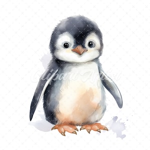 20 High-Quality Baby Penguin Clipart - Baby penguin digital watercolor JPG instant download for commercial use - Digital download