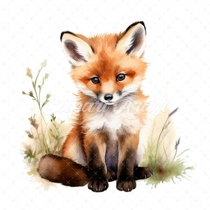 20 High-Quality Baby Fox Clipart - Baby fox digital watercolor JPG instant download for commercial use - Digital download