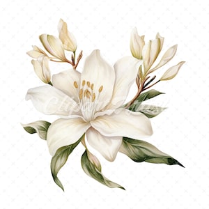 19 High-Quality Vanilla Clipart - Vanilla flowers digital watercolor JPG instant download for commercial use - Digital download