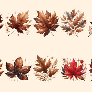 Autumn Leaves PNG Clipart Collection - 52 PNG, Warm seasonal foliage graphics, Autumn leaves art, Commercial use, Digital download