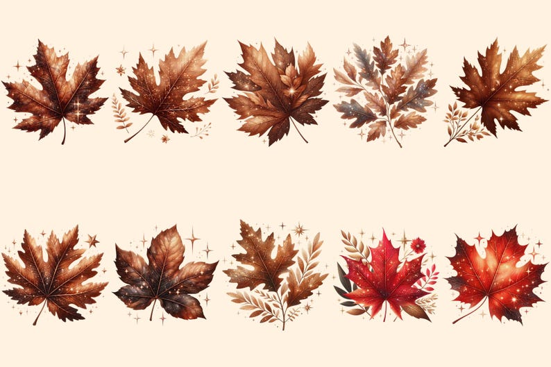 Autumn Leaves PNG Clipart Collection - 52 PNG, Warm seasonal foliage graphics, Autumn leaves art, Commercial use, Digital download
