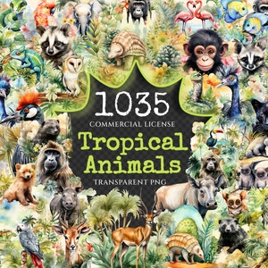 Tropical Animals Watercolor Clipart Bundle - 1030+ transparent PNG, Wild animal illustrations, Jungle png, Commercial use, Digital download