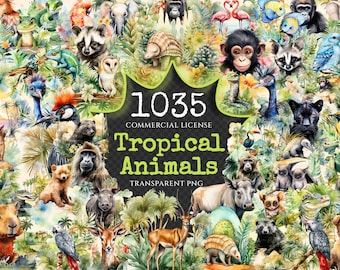 Watercolor Tropical Animal Clipart – 1030+ PNG Jungle Illustrations (Digital Download)