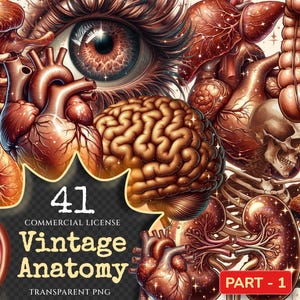 Op de afbeelding: Een verzameling van 41 vintage anatomische illustraties, waaronder het hart, de hersenen, de longen en meer. De illustraties zijn in een gedetailleerde, realistische stijl en zijn weergegeven in warme, aardse tinten. De tekst "41 Commercial License Vintage Anatomy Transparent PNG Part - 1" is zichtbaar in de afbeelding.
