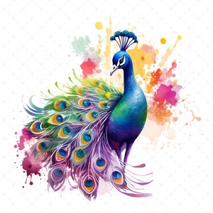 20 High-Quality Rainbow Peacock Clipart - Peacock digital watercolor JPG instant download for commercial use - Digital download