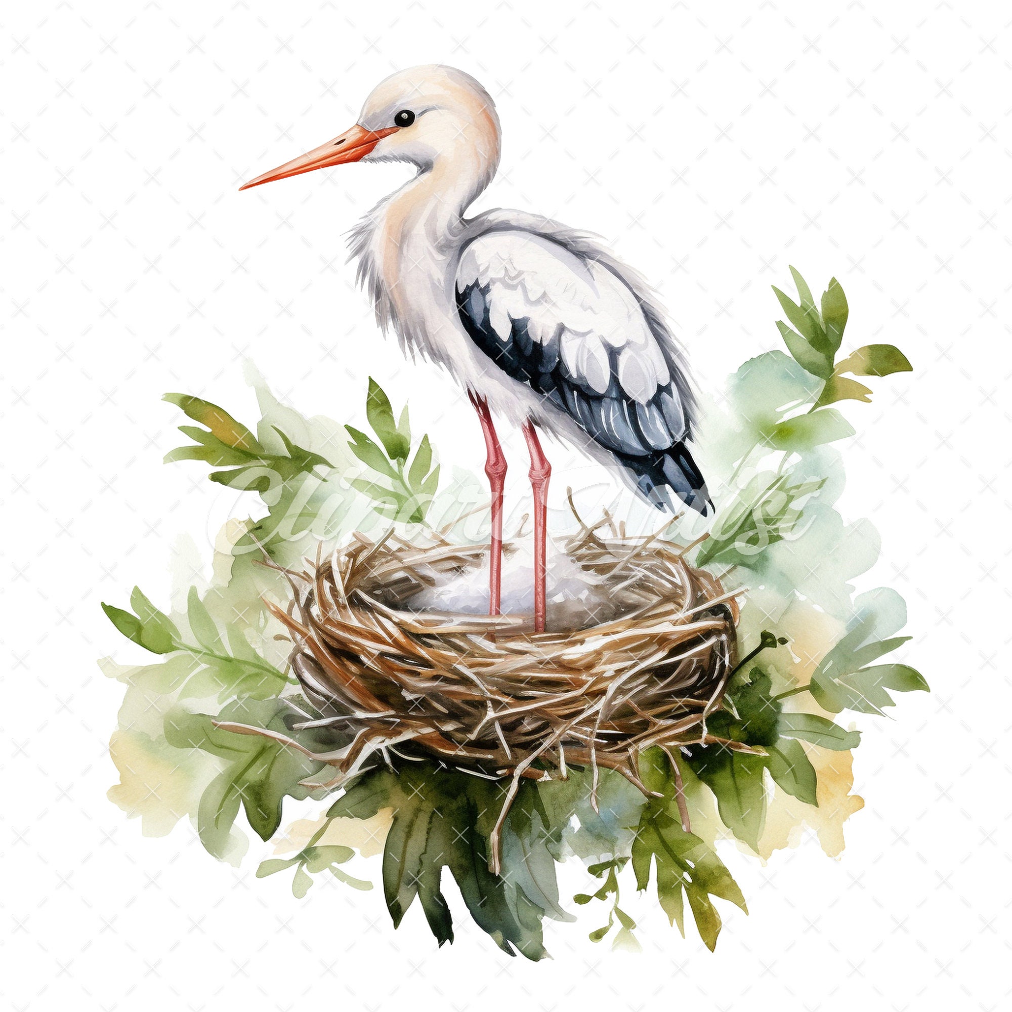20 Highquality Stork Nest Clipart Stork Birds Digital Etsy