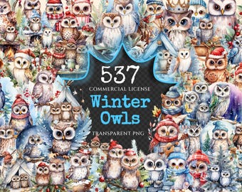Watercolor Winter Owls Clipart – Christmas Bird PNG Bundle (Digital Download)