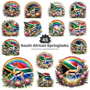 May include: A digital collection of 45 illustrations featuring South African springboks, the national flag of South Africa, vibrant rainbows, and protea flowers. The text 45 South African Springboks COLLECTION | TRANSPARENT PNG is centered.
