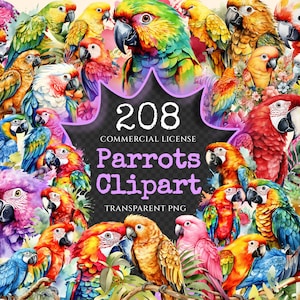 Parrots Watercolor Clipart Bundle - 205+ transparent PNG, Tropical parrot summer graphics, Parrots clipart, Commercial use, Digital download