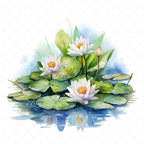 20 High-Quality Lily Pond Clipart - Lily pond digital watercolor JPG instant download for commercial use - Digital download