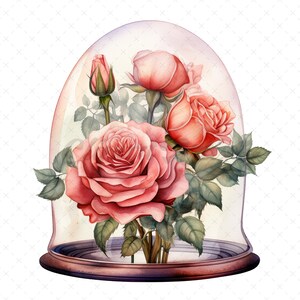 20 High-quality Rose Glass Dome Clipart Rose Glass Dome Digital