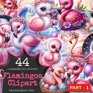 Flamingos PNG Clipart Collection - 44 PNG, Sweet blush bird graphics, Lovely flamingo printables, Commercial use, Digital download